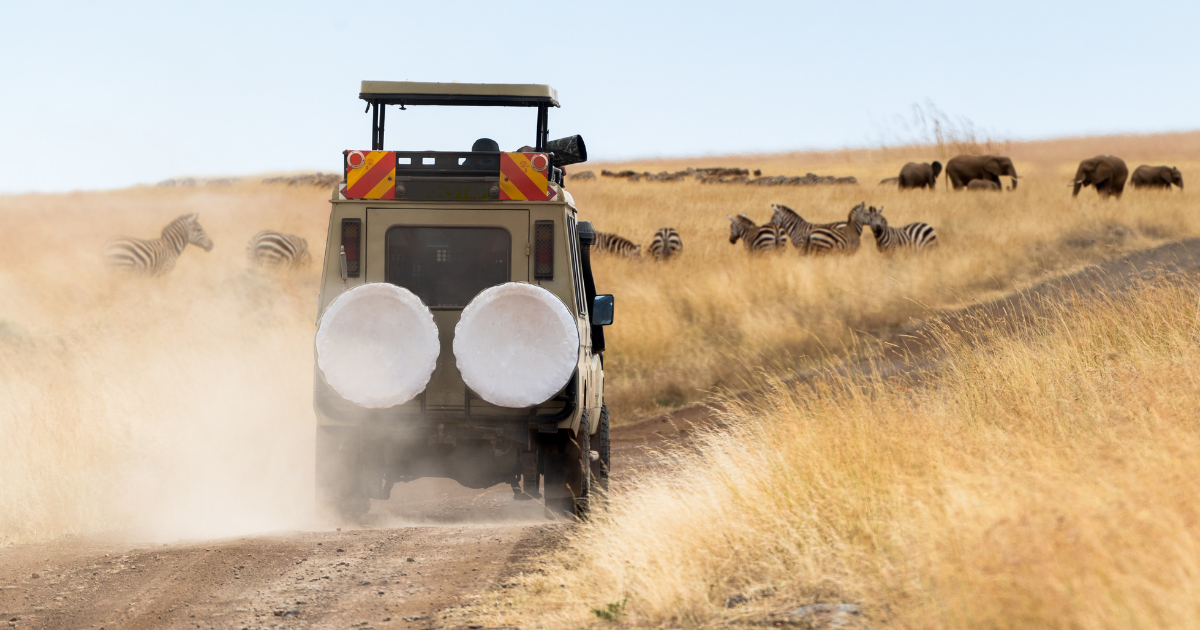 Kenija – Diani Beach i safari